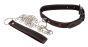 Collar and Leash