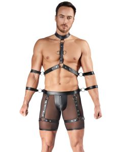 Men's Harness and Pants XL