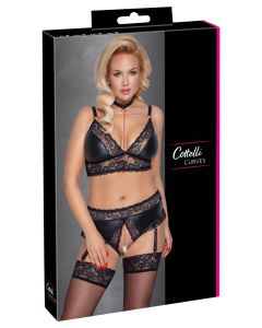 Bra and Suspender Briefs 4XL