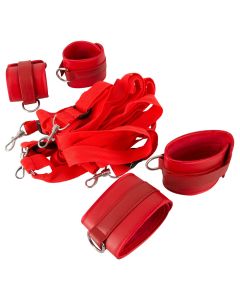 Bad Kitty Bed Restraint Set